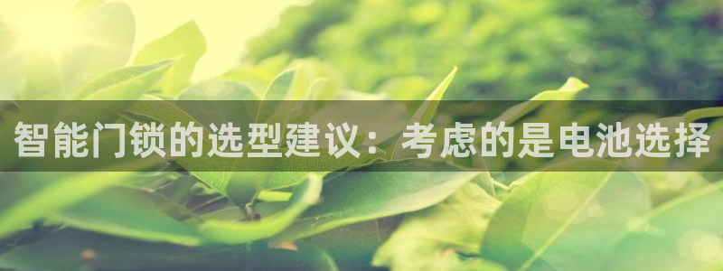 利记官网入口：智能门锁的选型建议：考虑的是电池选择