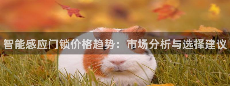 SBOBET利记官网：智能感应门锁价格趋势：市场分析与选择建