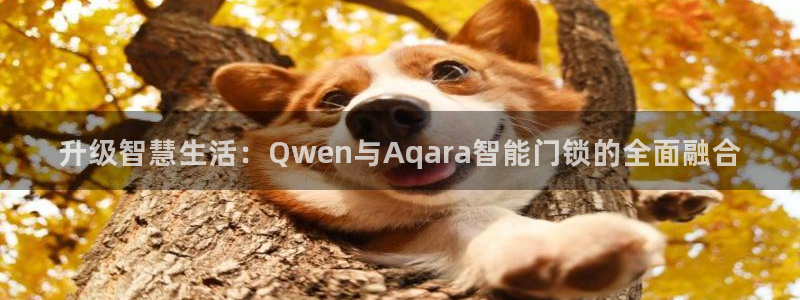 利记sbobet官网：升级智慧生活：Qwen与Aqara智能