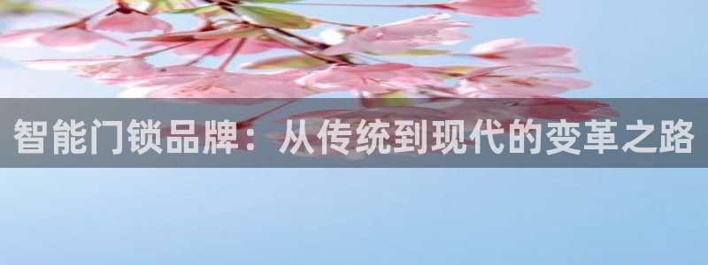万利记菜单价格查询官网：智能门锁品牌：从传统到现代的变革之路