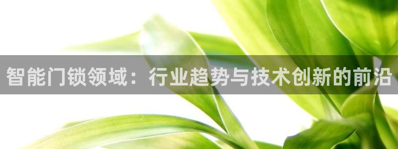 利记官网备用网址：智能门锁领域：行业趋势与技术创新的前沿
