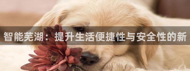 利记官网葡京投注网址：智能芜湖：提升生活便捷性与安全性的新