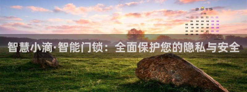 香港利记集团官网旗舰店：智慧小滴·智能门锁：全面保护您的隐私