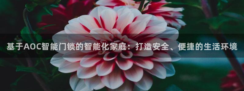 利记博彩官网：基于AOC智能门锁的智能化家庭：打造安全、便捷