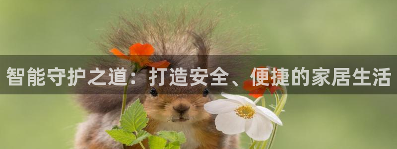 万利记官网电话：智能守护之道：打造安全、便捷的家居生活