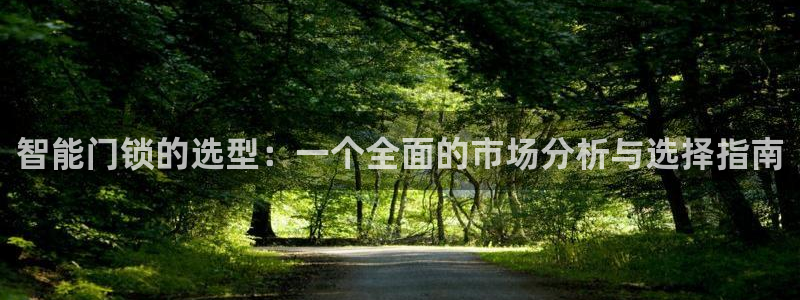 利记平台官网首页：智能门锁的选型：一个全面的市场分析与选择指