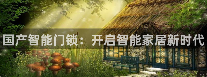 利记娱乐网唯一官网：国产智能门锁：开启智能家居新时代