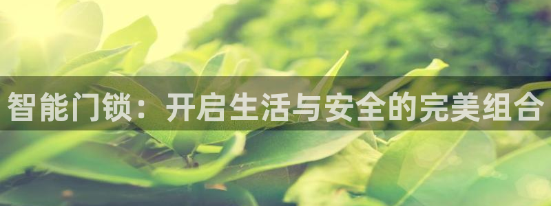 利记彩票网网址官网hd71：智能门锁：开启生活与安全的完美组