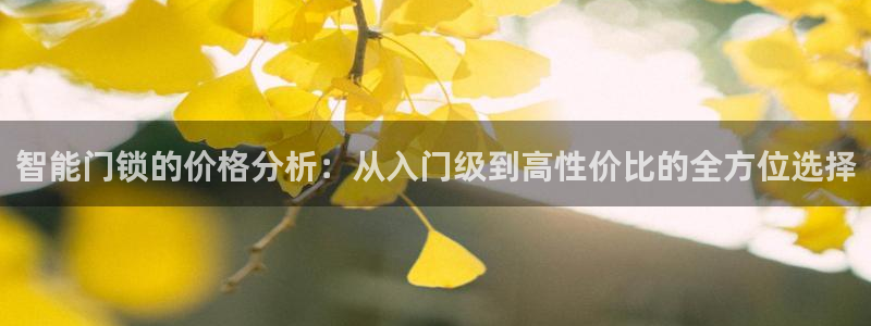 万利记官网：智能门锁的价格分析：从入门级到高性价比的全方位选