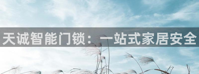 利记 利记官网：天诚智能门锁：一站式家居安全