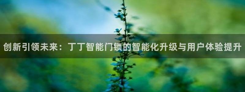 利记体育投注官网：创新引领未来：丁丁智能门锁的智能化升级与用