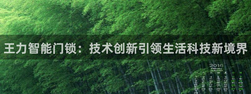 利记二手车行官网：王力智能门锁：技术创新引领生活科技新境界