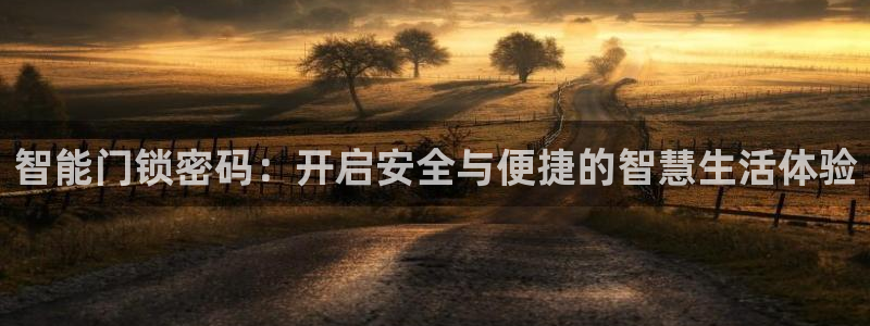 林利记官网：智能门锁密码：开启安全与便捷的智慧生活体验