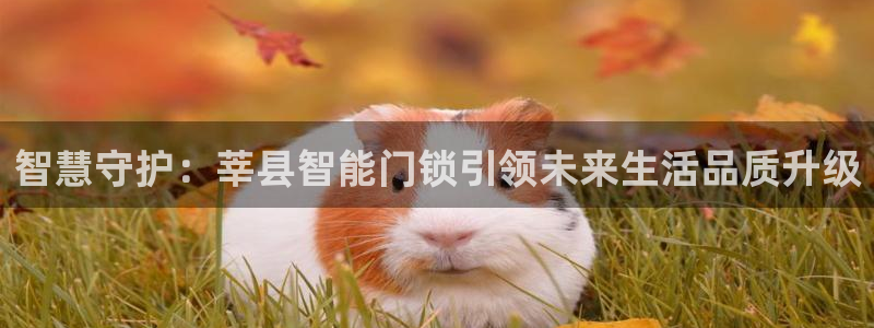 利记官网a