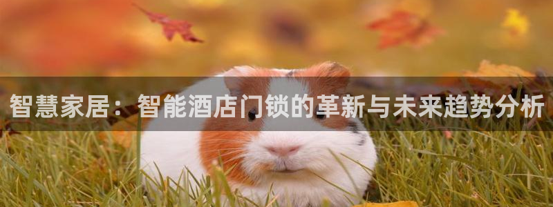 利记娱乐网官网：智慧家居：智能酒店门锁的革新与未来趋势分析