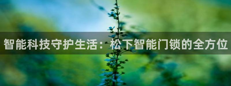 利记手机官网电子mg官方网站：智能科技守护生活：松下智能门锁