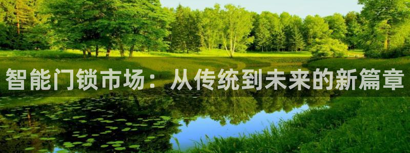 利记集团官网：智能门锁市场：从传统到未来的新篇章