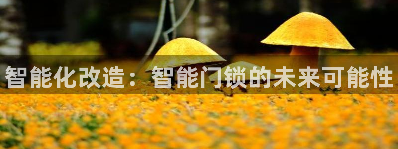 sbo利记体育官网注册：智能化改造：智能门锁的未来可能性