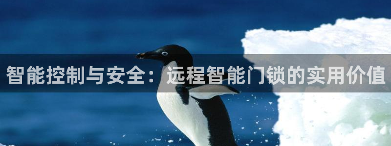利记投注平台官网
