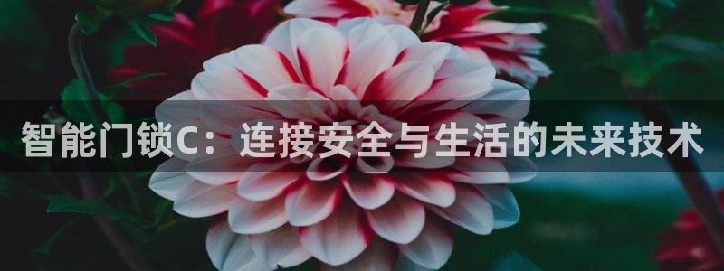 新利记官网