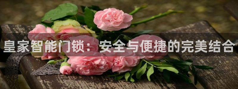 利记app官网入口：皇家智能门锁：安全与便捷的完美结合