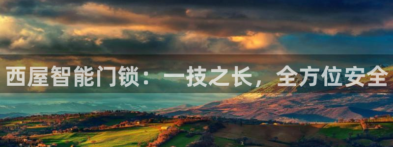 利记网官网：西屋智能门锁：一技之长，全方位安全