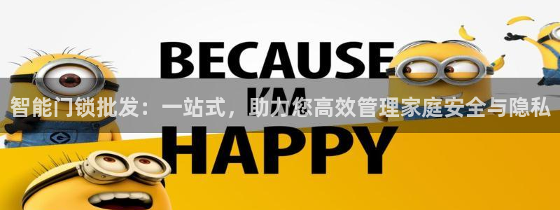 利记官网注册：智能门锁批发：一站式，助力您高效管理家庭安全与