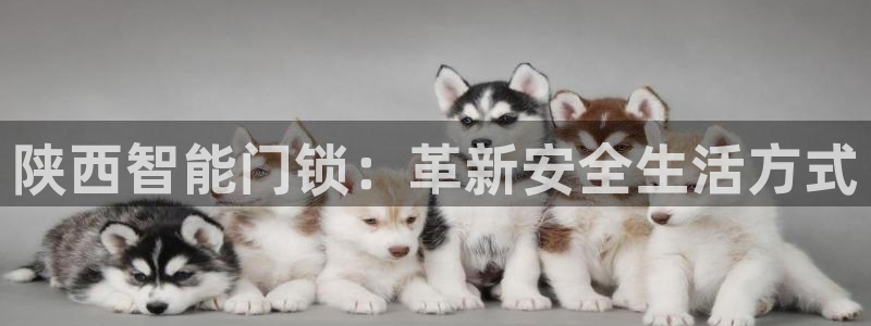 香港利记集团官网招聘：陕西智能门锁：革新安全生活方式