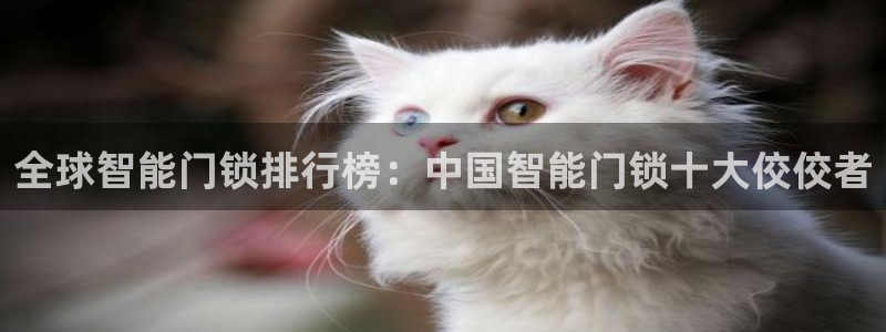 利记平台官网首页：全球智能门锁排行榜：中国智能门锁十大佼佼者