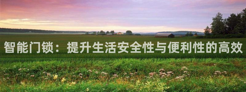 188bet注册利记官网app：智能门锁：提升生活安全性与便
