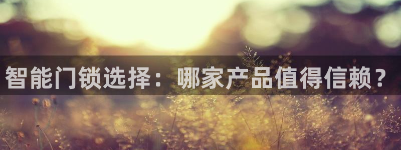 利记官网日亚运比：智能门锁选择：哪家产品值得信赖？