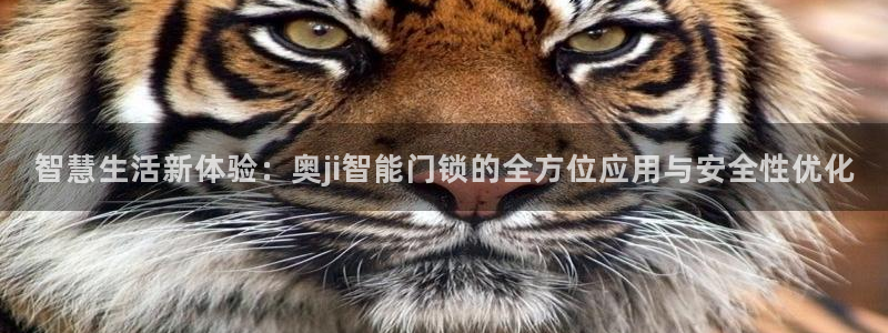 利记体育投注官网：智慧生活新体验：奥ji智能门锁的全方位应用