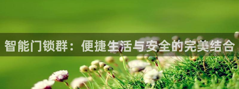 利记sbobet官网：智能门锁群：便捷生活与安全的完美结合