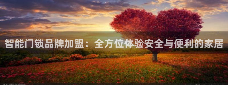 利记真的官网：智能门锁品牌加盟：全方位体验安全与便利的家居