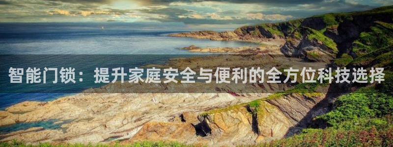 利记真正的官网是多少：智能门锁：提升家庭安全与便利的全方位科