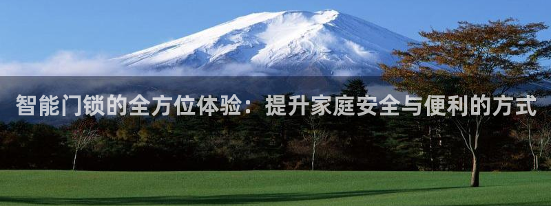 利记坊官网登录：智能门锁的全方位体验：提升家庭安全与便利的方