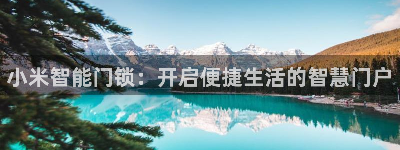 sbotop利记官网：小米智能门锁：开启便捷生活的智慧门户