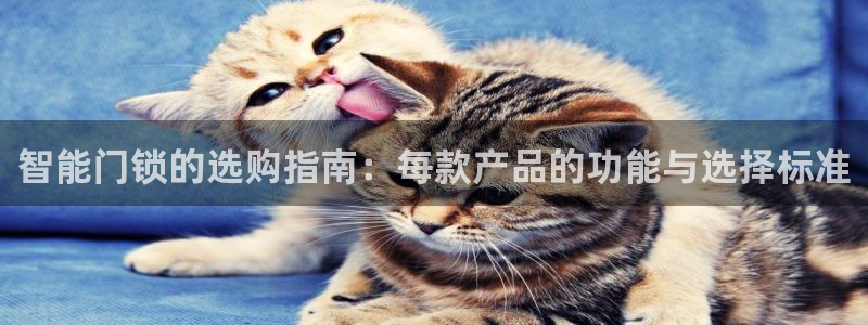 利记彩票网网址官网hd71：智能门锁的选购指南：每款产品的功