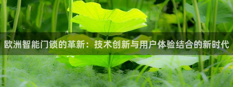 sbo利记体育官网注册：欧洲智能门锁的革新：技术创新与用户体