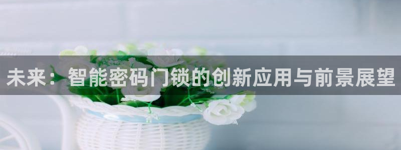 利记官网首页：未来：智能密码门锁的创新应用与前景展望