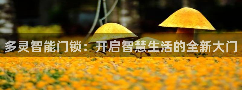 利记官网是真的吗：多灵智能门锁：开启智慧生活的全新大门