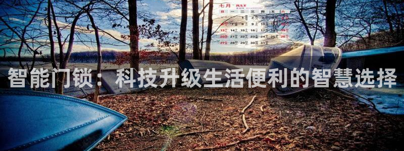 利记官网app下载：智能门锁：科技升级生活便利的智慧选择