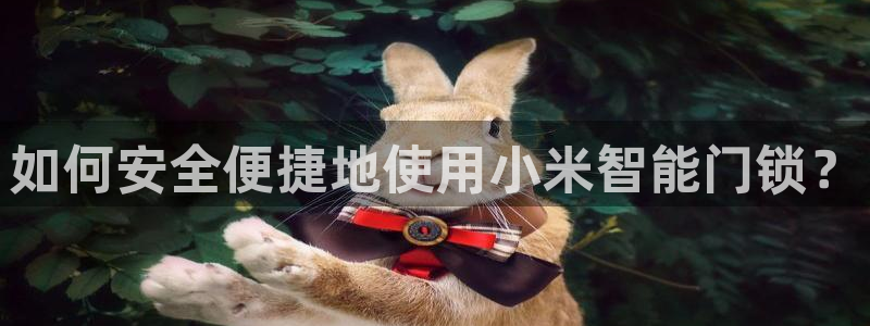 利记官网加盟:如何安全便捷地使用小米智能门锁?