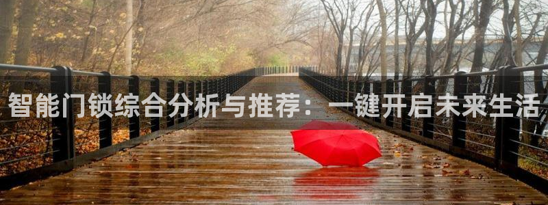 利记平台官网:智能门锁综合分析与推荐:一键开启未来生活