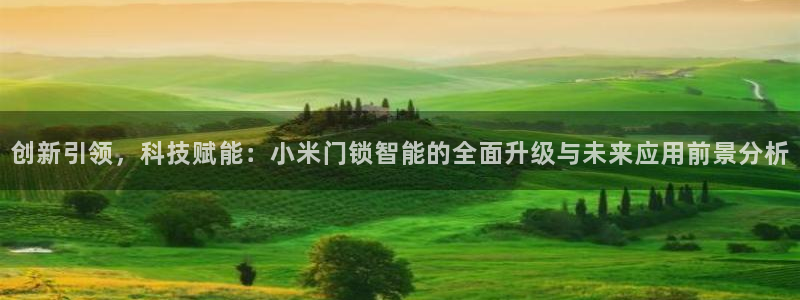 澳门大利来记官网:创新引领,科技赋能:小米门锁智能的全面升级