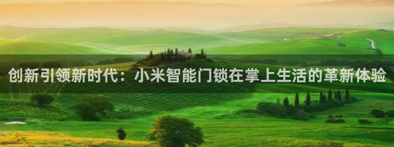 利记官网app下载网址日博官网网址:创新引领新时代:小米智能