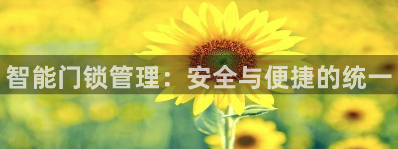 利记国际有限公司官网:智能门锁管理:安全与便捷的统一