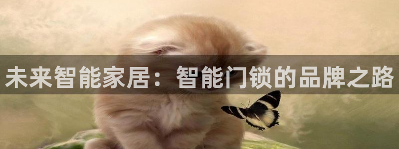 大利来记官网：未来智能家居：智能门锁的品牌之路