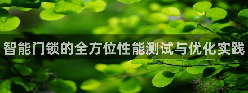 利记app官网:智能门锁的全方位性能测试与优化实践