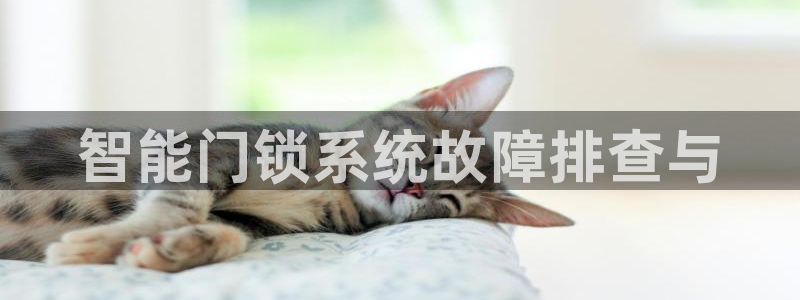 利记体育官网地址：智能门锁系统故障排查与